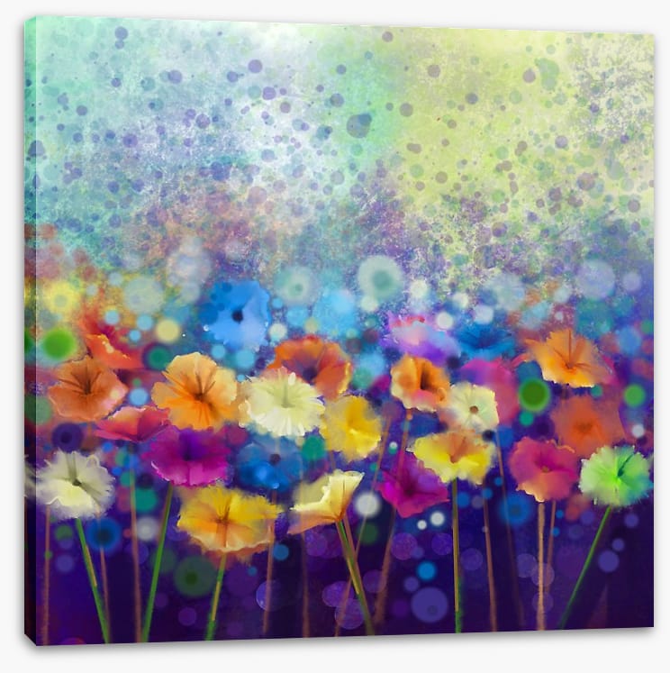 Gerbera meadow