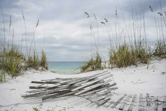 Over the stormy dunes