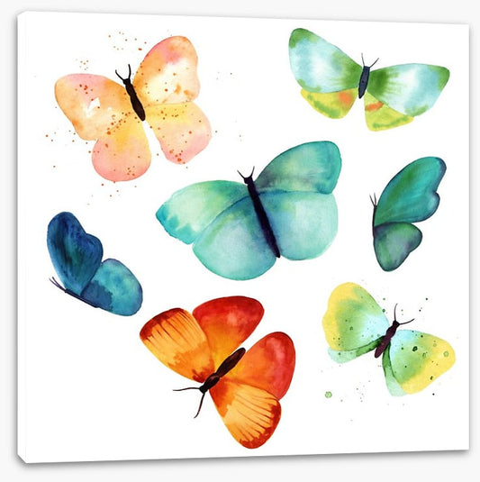Butterflies