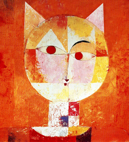 The orange cat