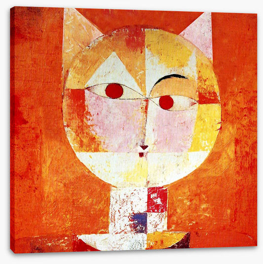 The orange cat