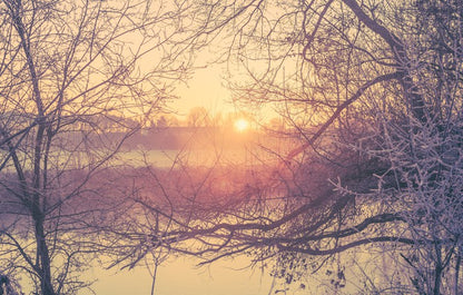 Glacé branch sunrise