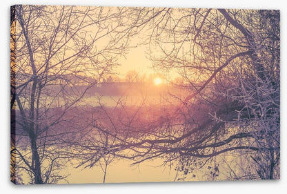 Glacé branch sunrise
