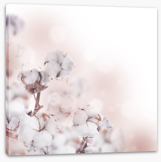 Cotton clouds