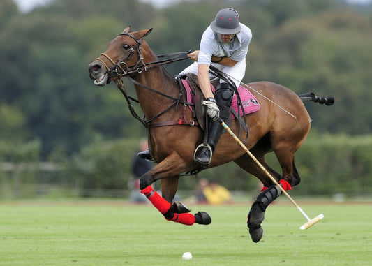 Sports