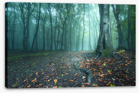 Mystical forest