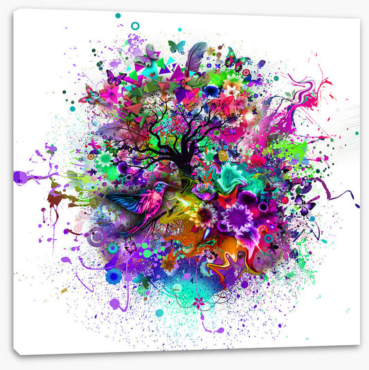 The chaos of life