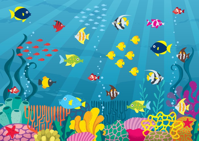 School on the reef