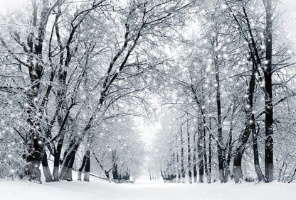 Magical snowstorm