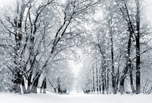 Magical snowstorm