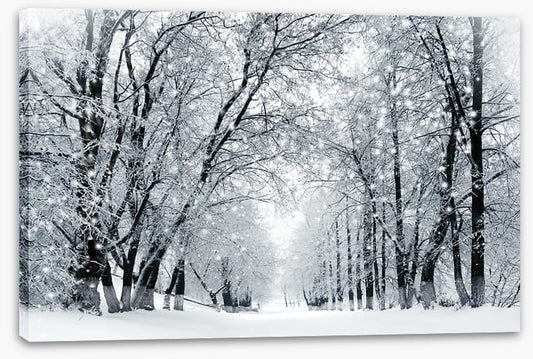 Magical snowstorm