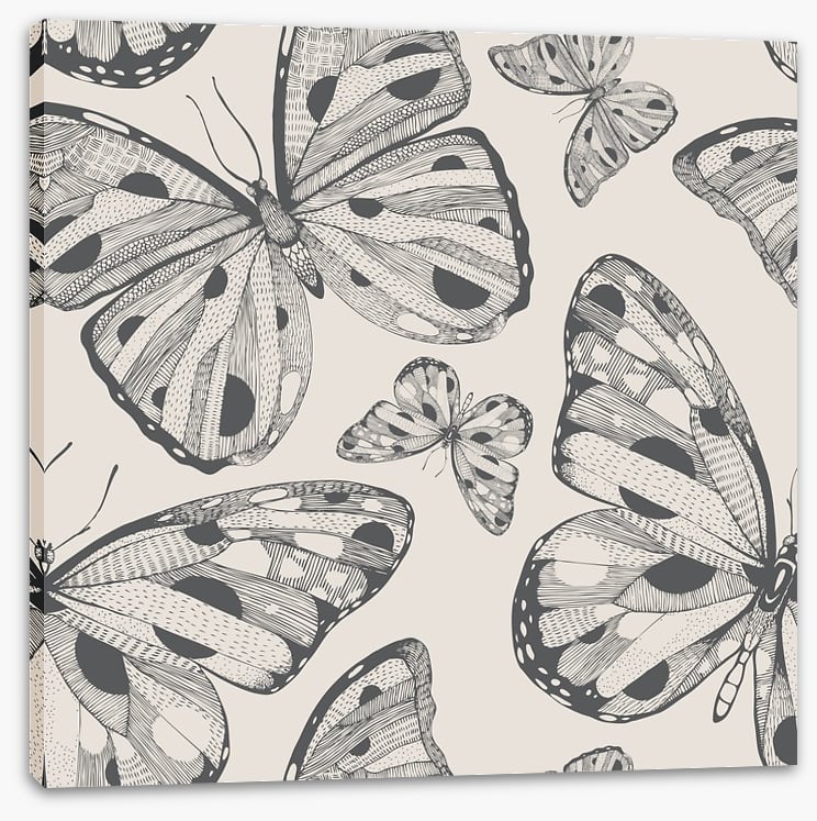 Butterflies