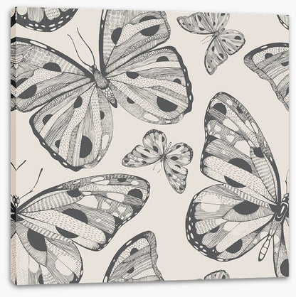 Butterflies