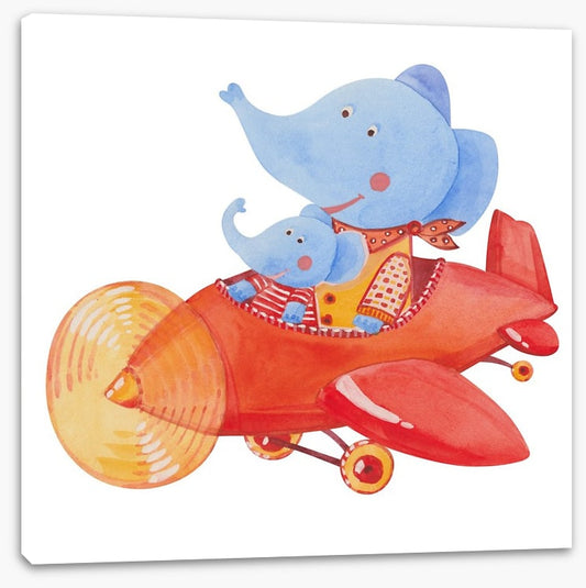Elephants