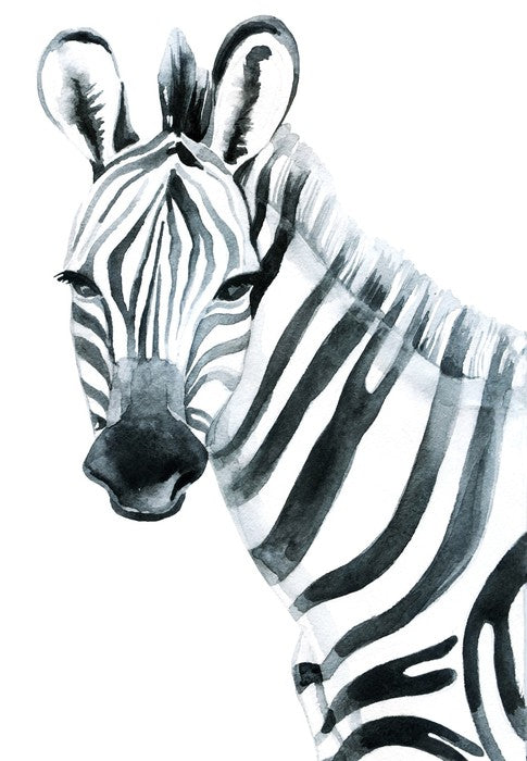 Watercolour zebra