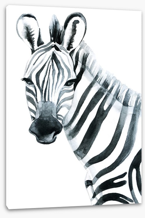 Watercolour zebra