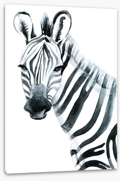 Watercolour zebra