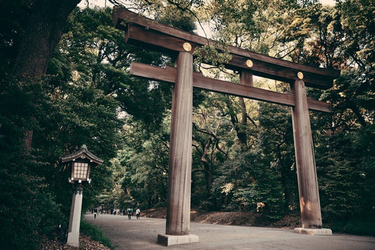 Below the Meiji gate