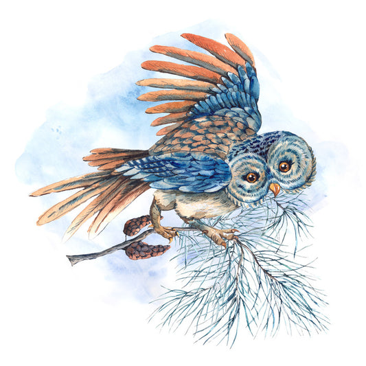 What a hoot