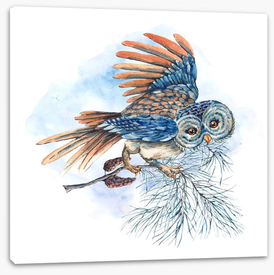 What a hoot