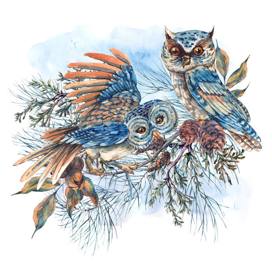 Two hoots