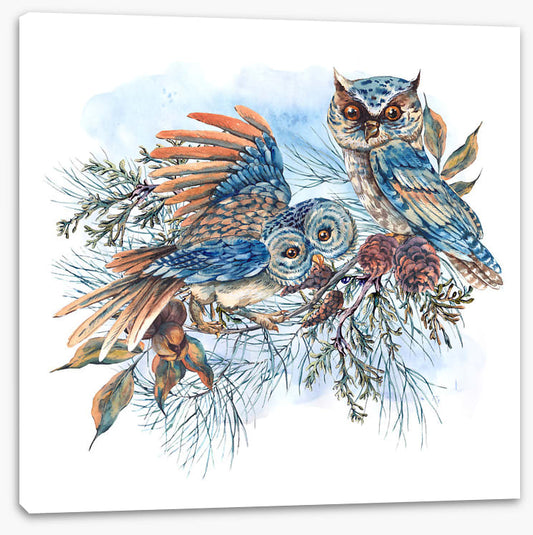 Two hoots