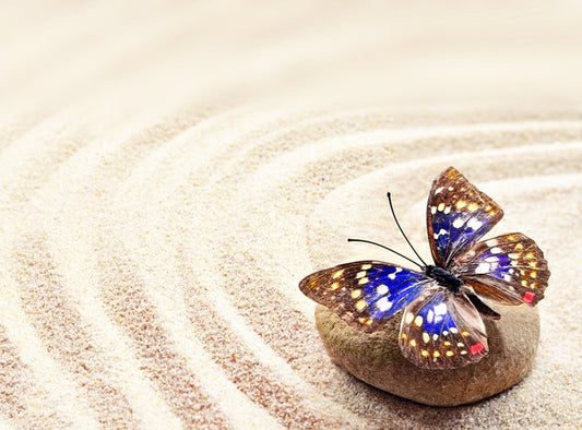 Beautiful butterfly on the sand