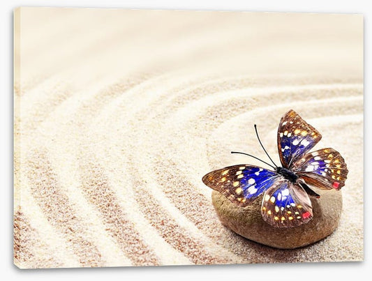 Beautiful butterfly on the sand
