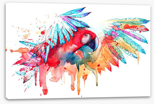 Tropical parrot