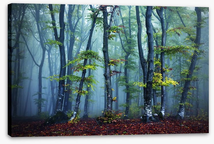 Beyond the mist