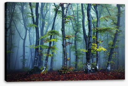 Beyond the mist