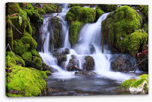 Mossy maze cascade