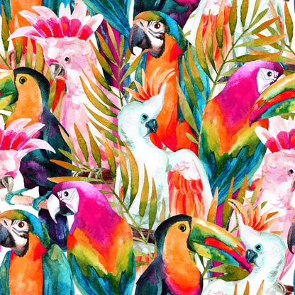 Parrots and cockatoo