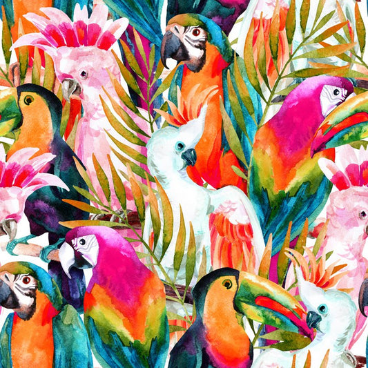 Parrots and cockatoo