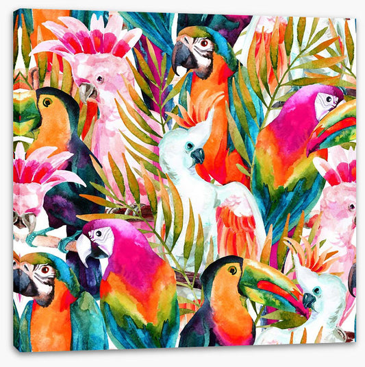 Parrots and cockatoo