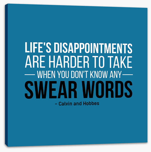 Life's disappointments