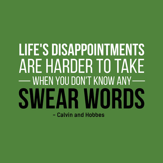 Life's disappointments