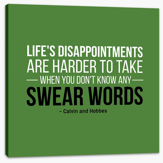 Life's disappointments