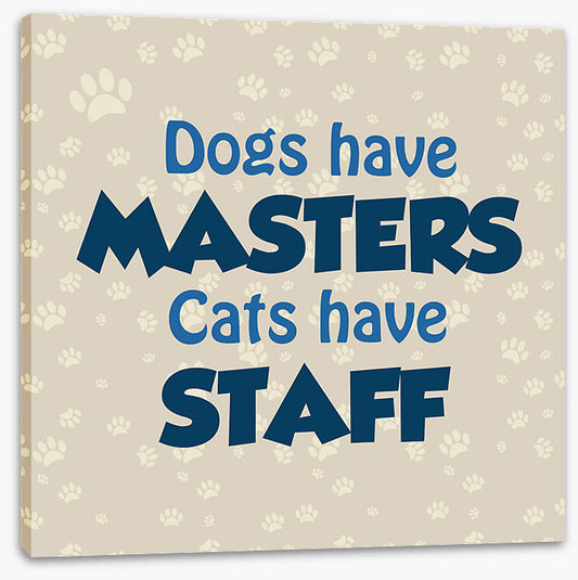 Cats and dogs