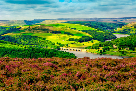 Bamford foliage