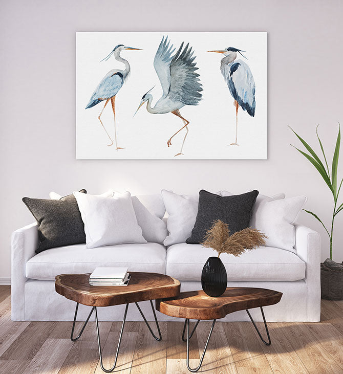 Three heron birds
