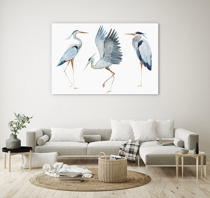 Three heron birds