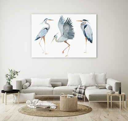 Three heron birds