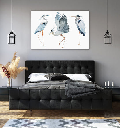 Three heron birds