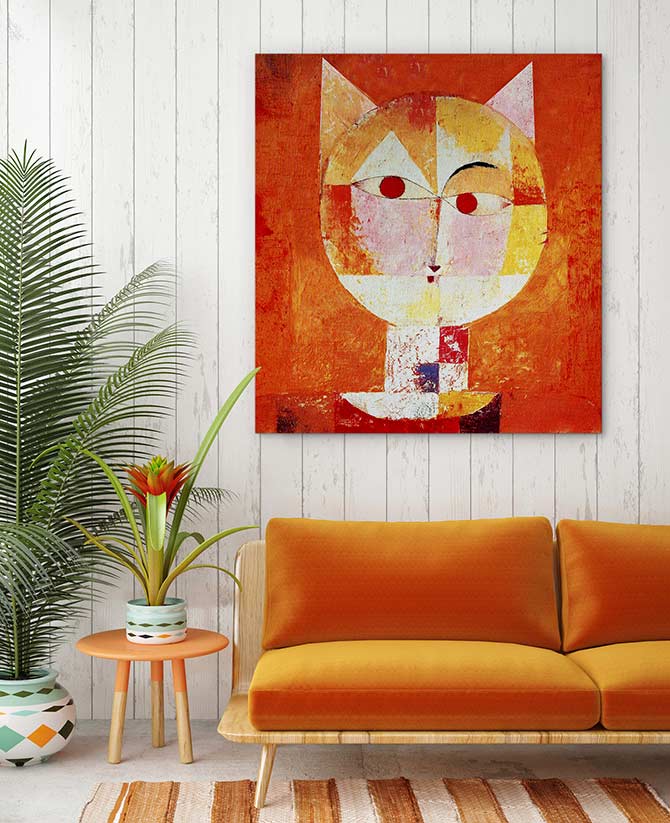 The orange cat