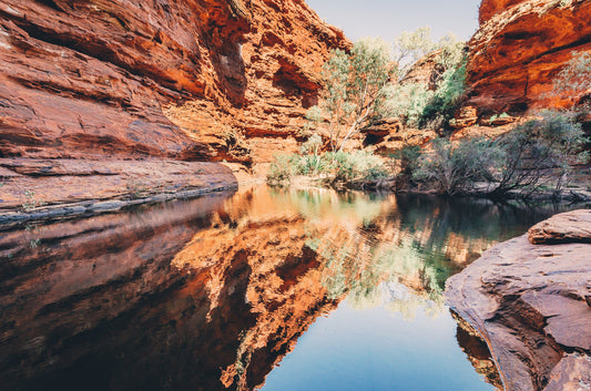 Watering hole reflections