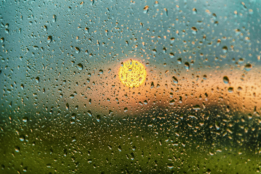 After the rain