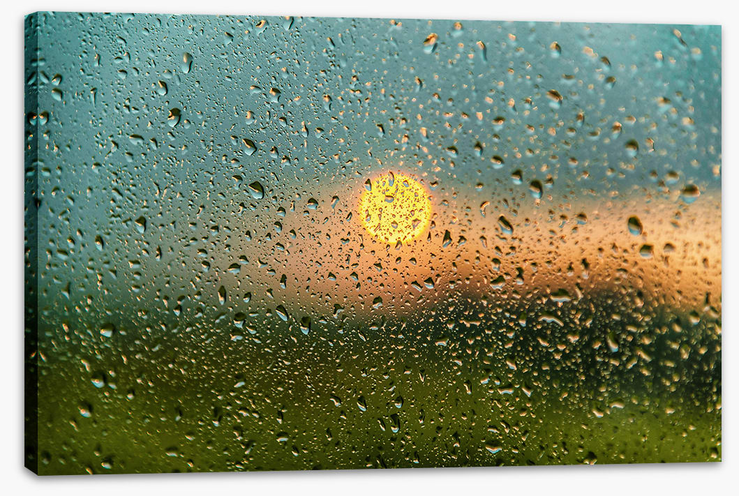 After the rain