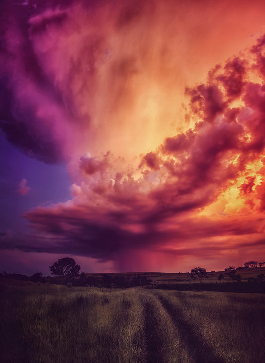The orange storm