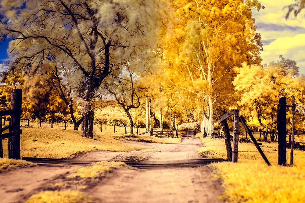 The yellow path